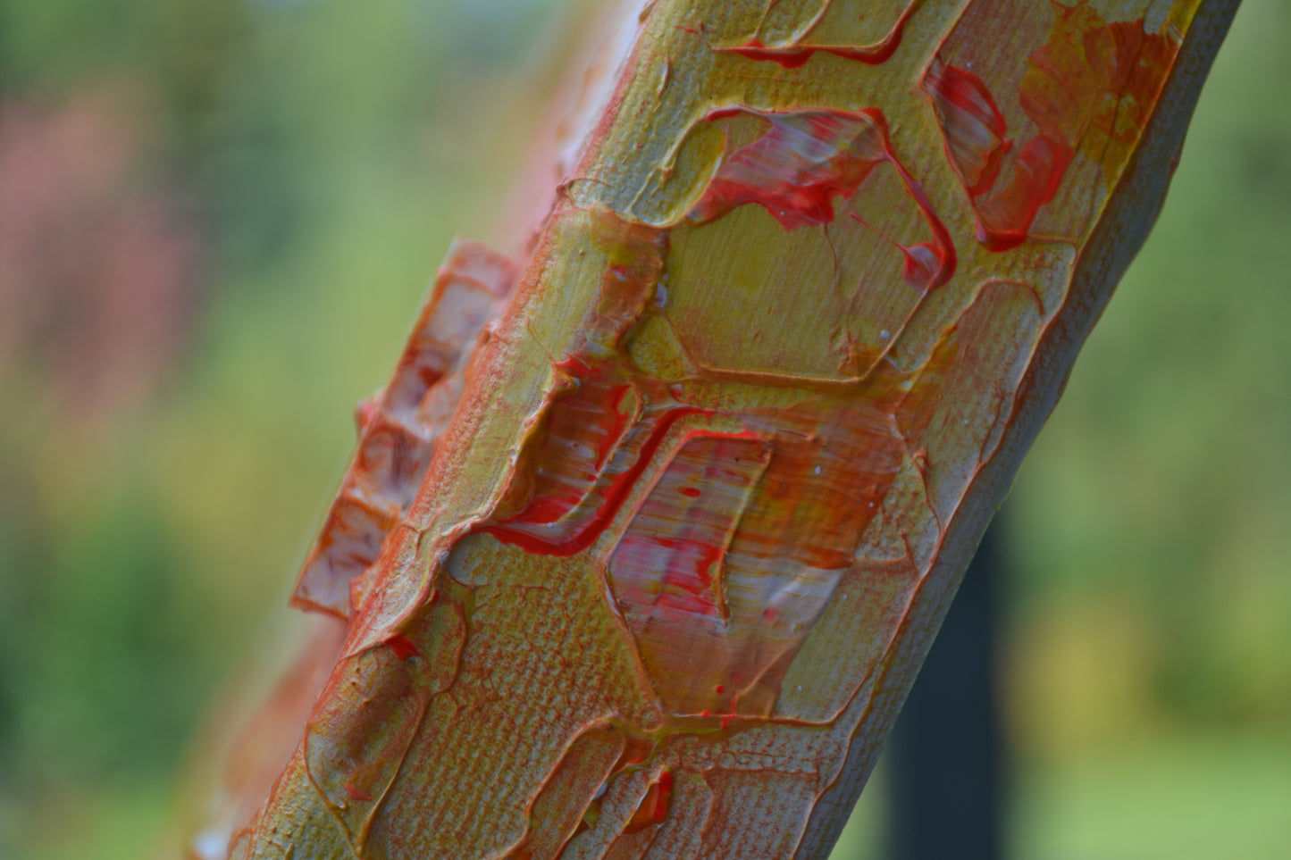 Toile abstraite ''Les beautés du soleil''